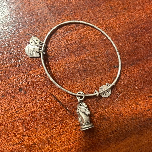 Alex and ani braclet - Picture 1 of 1